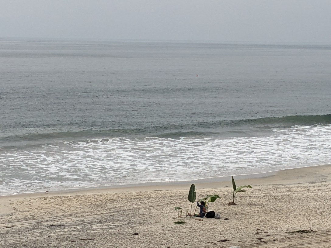 Overcast grey ocean seen from above a sandy beach, with small waves breaking near shore and young banana plants in the foreground