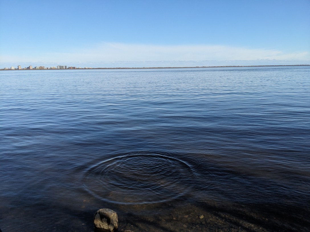 Calm blue water with a single ring of ripples spreading near the shore, a city skyline low on the distant horizon.